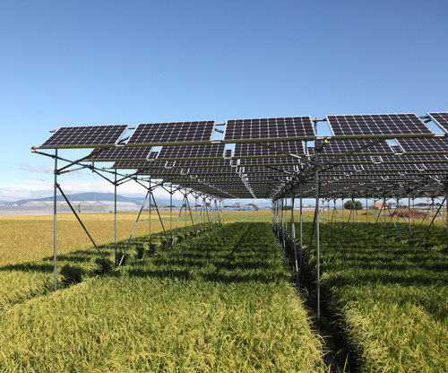 営農型太陽光発電モデル